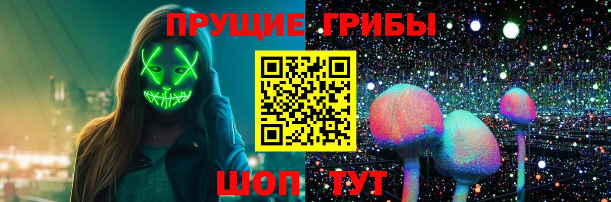 Карпинск  Псилоцибиновые грибы мицелий  Вход с VPN  Псилоцибиновые грибы Magic Shrooms 